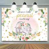 Rosa Blumen Elefant An Ihr Weg Babydusche Hintergrund